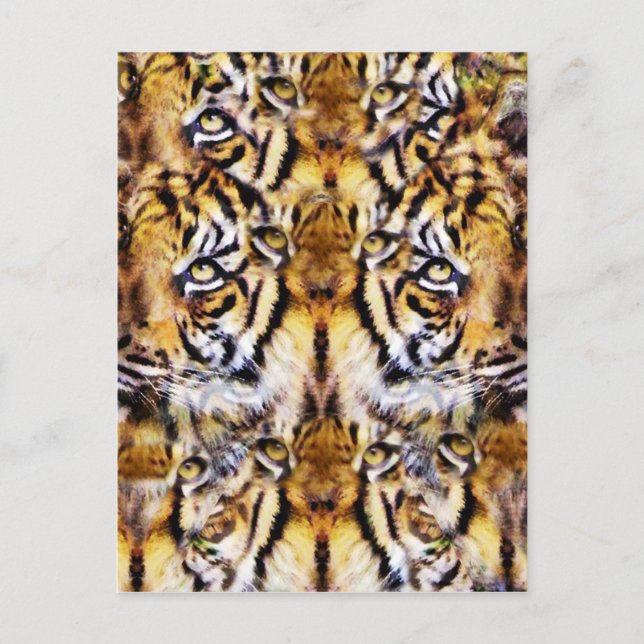 Carte Postale Visions_ (Devant)