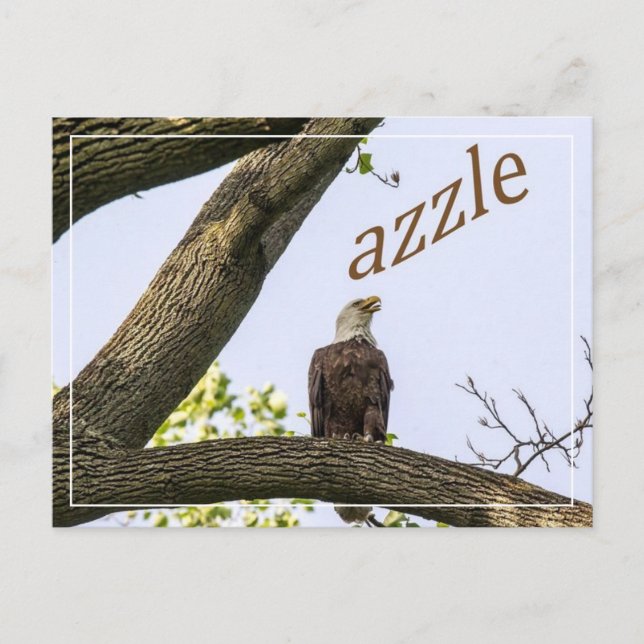 Carte Postale Visions de la vallée de Zazzle (Devant)