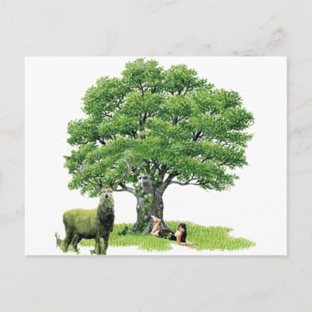 Carte Postale Visite Avec Le Père Oak (Devant)