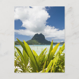 Carte Postale Visite d'une petite île de pique-nique dans le lag