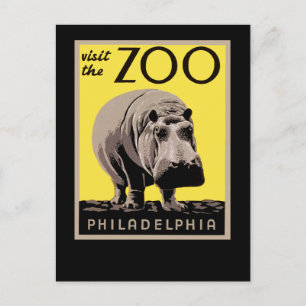 Carte Postale Visiter Le Zoo