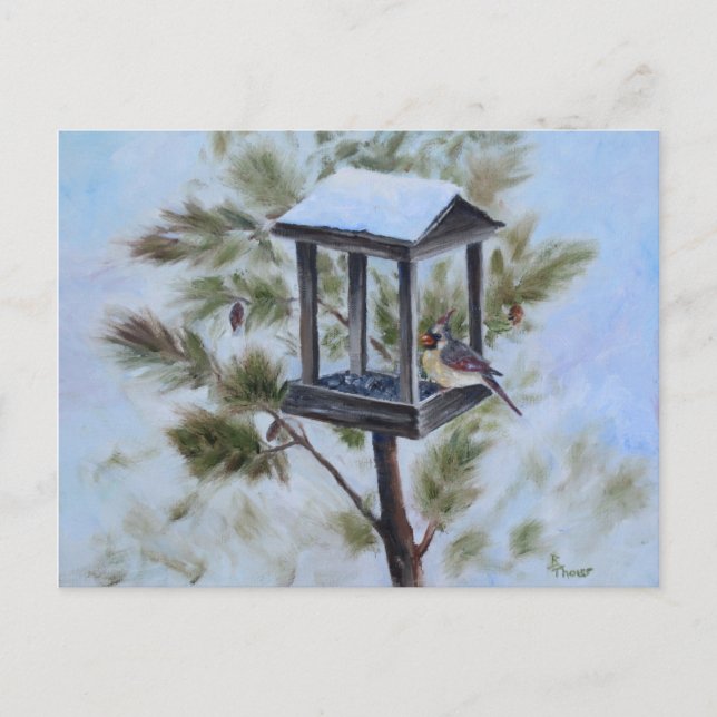 Carte Postale Visiteur du cardinal d'hiver (Devant)