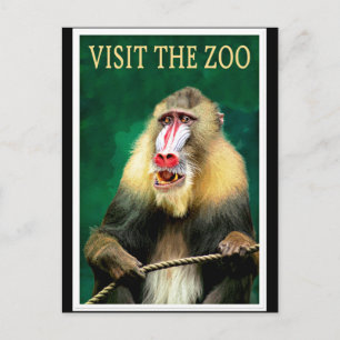 Carte Postale Visitez le zoo, affiche de voyage vintage
