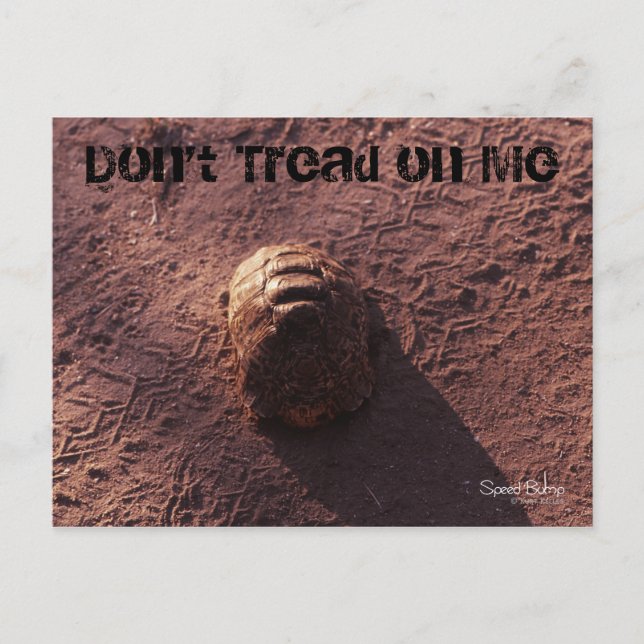 Carte Postale Vitesse (Devant)