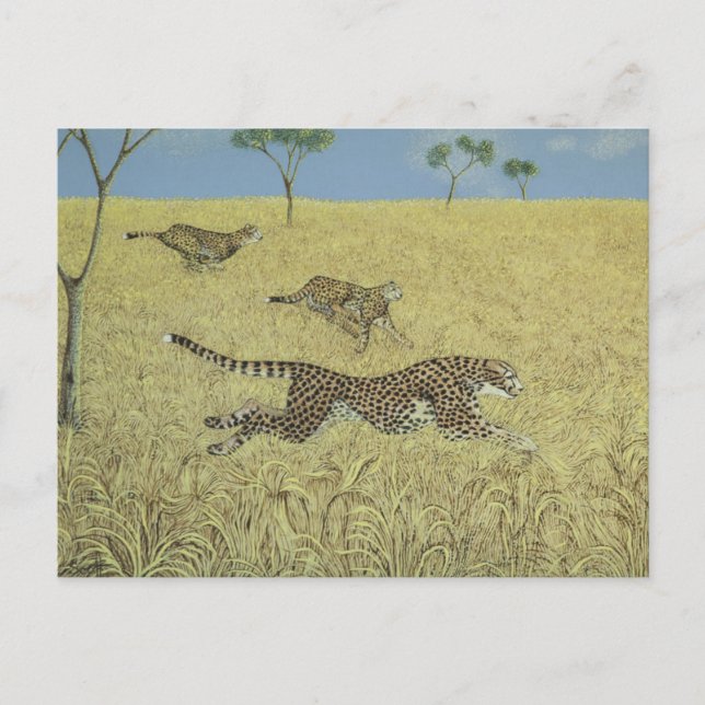 Carte Postale Vitesse simple (Devant)