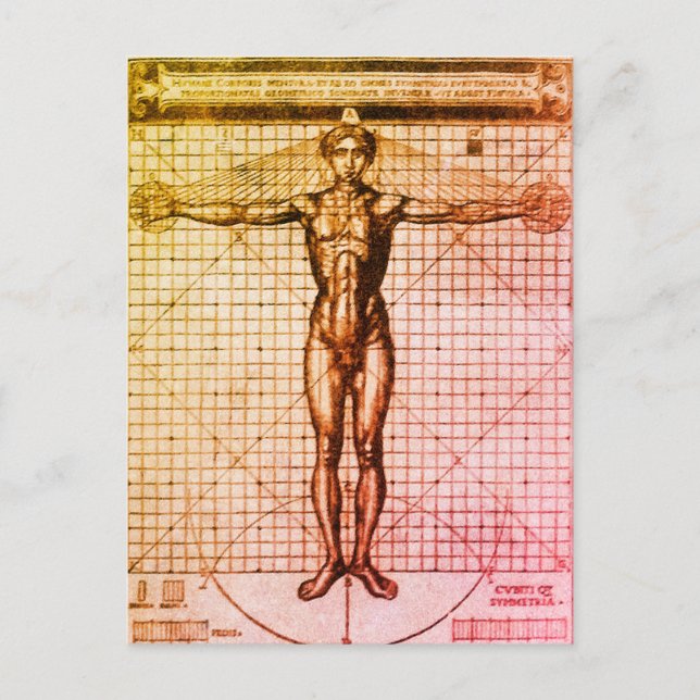 Carte Postale Vitruvian Man (Vitruvius : De architectura) (Devant)