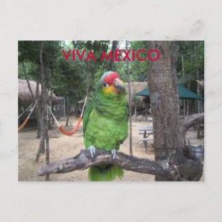 Carte Postale Viva Mexico