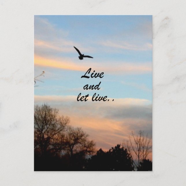 Carte Postale Vivez et laissez vivre (Devant)