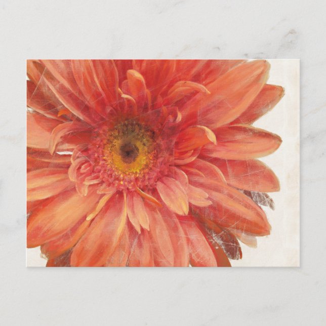 Carte Postale Vivid Daisy (Devant)