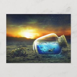 Carte Postale Vivid Sunset Beach Crab/Sea Life in Bottle Surreal
