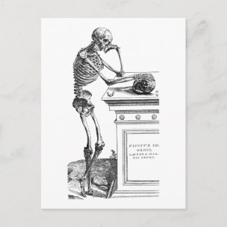 Carte Postale Vivitur Ingenio - Squelette