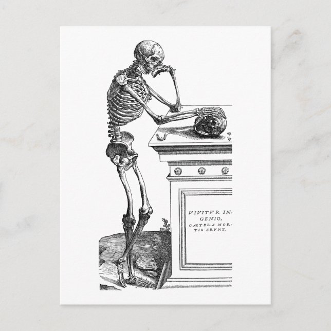 Carte Postale Vivitur Ingenio - Squelette (Devant)