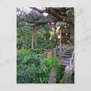 Carte Postale Vivre dans les arbres