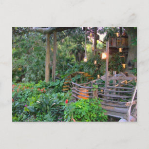 Carte Postale Vivre dans les arbres