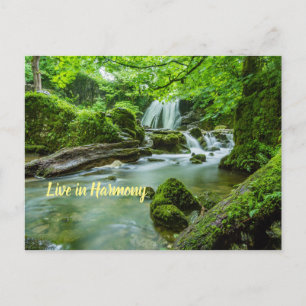 Carte Postale Vivre en harmonie