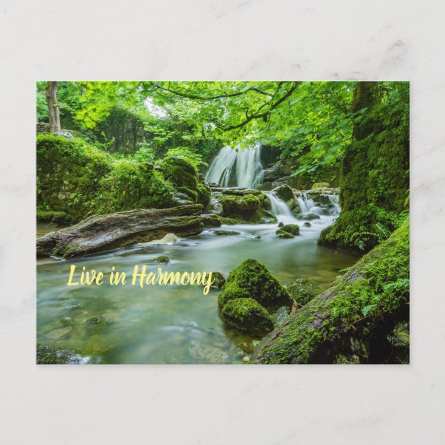 Carte Postale Vivre en harmonie (Devant)