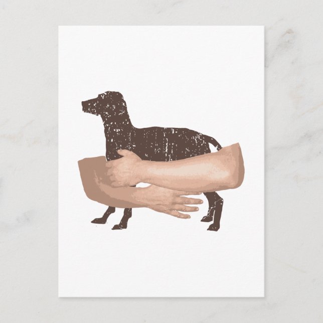 Carte Postale Vizsla (Devant)