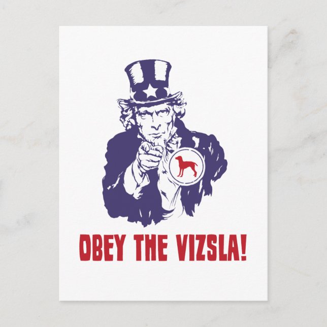 Carte Postale Vizsla (Devant)
