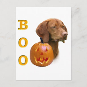 Carte Postale Vizsla Boo