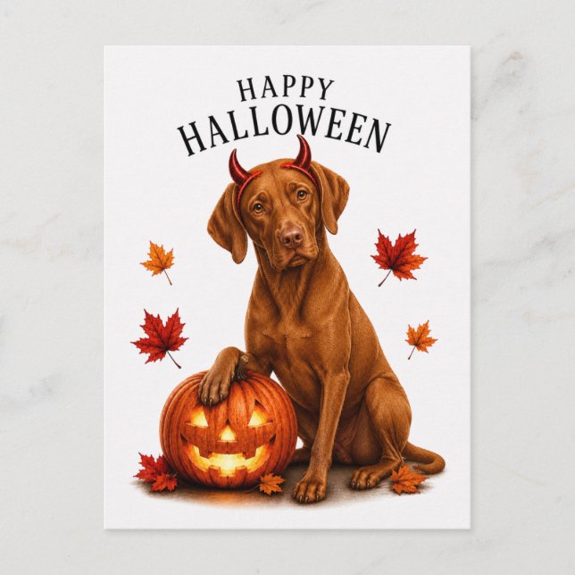 Carte Postale Vizsla Halloween (Devant)