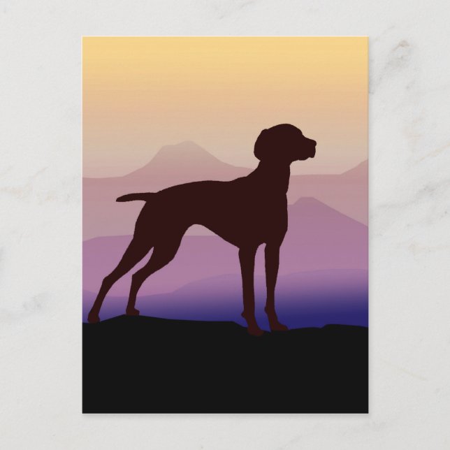 Carte Postale Vizsla Montagne Violette (Devant)