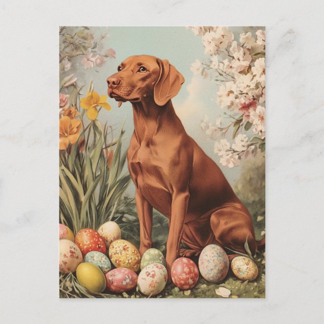 Carte Postale Vizsla Pâques Vintage (Devant)