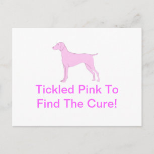 Carte Postale Vizsla rose