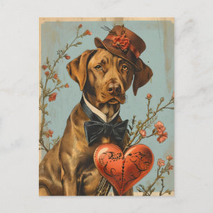 Carte Postale Vizsla Saint Valentin Vintage