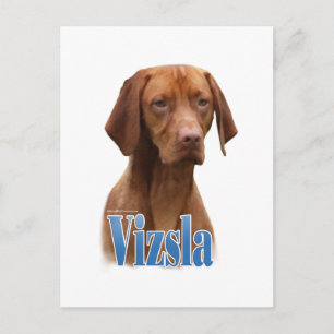 Carte Postale Vizsla; Vizsla race de chien; Vizsla race; Vizsla