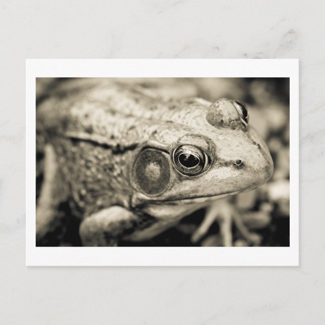 Carte Postale vœu simple du jour (Devant)