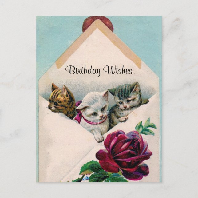 Carte Postale Voeux d'anniversaire - Chatons en Enveloppe - Cart (Devant)