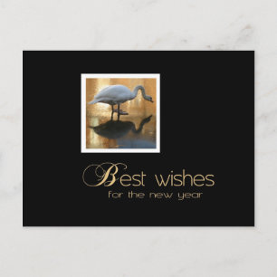 Carte Postale voeux de cygne