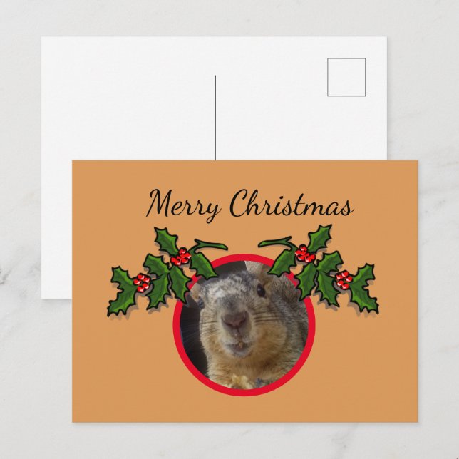 Carte postale - Vœux de Noël Écureuil (Devant / Derrière)