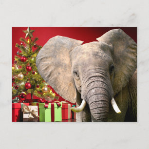 Carte Postale Voeux de Noël éléphant
