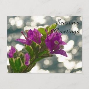 Carte Postale Vœux de saison Fleurs de printemps Bokeh
