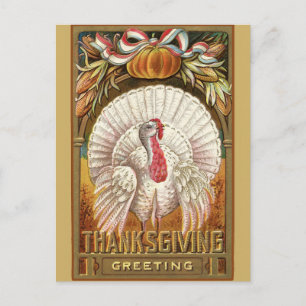 Carte Postale Vœux de Thanksgiving vintage Dindon