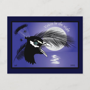 Carte Postale Voices in the night Post