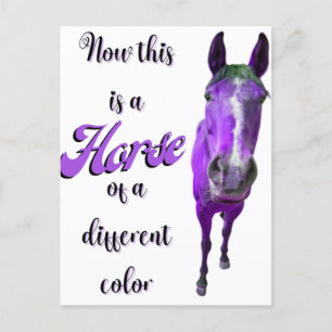 Carte Postale Voici Un Cheval D'Une Couleur Différente, Violet
