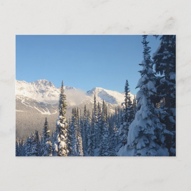 Carte Postale Voici une belle photo à Whistler Canada (Devant)