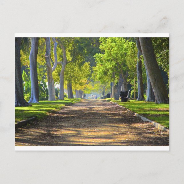 Carte Postale Voie pacifique (Devant)