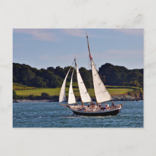 Carte Postale Voile à Newport, Rhode Island, États-Unis
