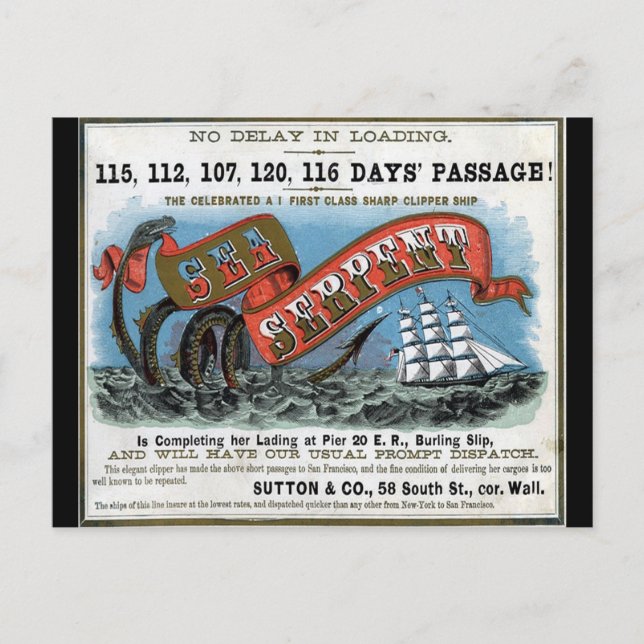 Carte Postale Voile clipper serpent de mer (Devant)