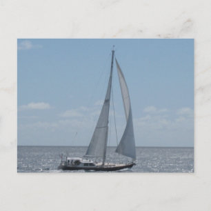 Carte Postale Voile dans les Caraïbes