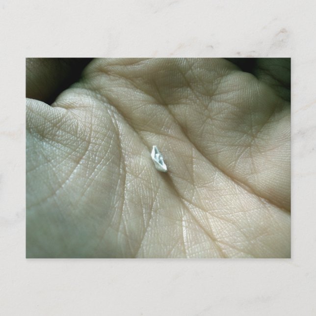 Carte Postale Voile le long de la ligne de vie (Devant)