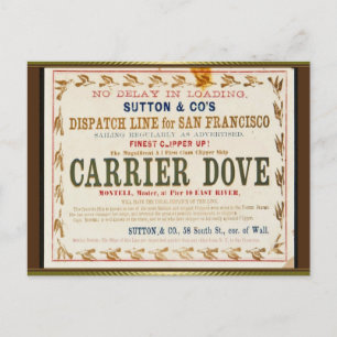Carte Postale Voilier du Clipper de la colombe