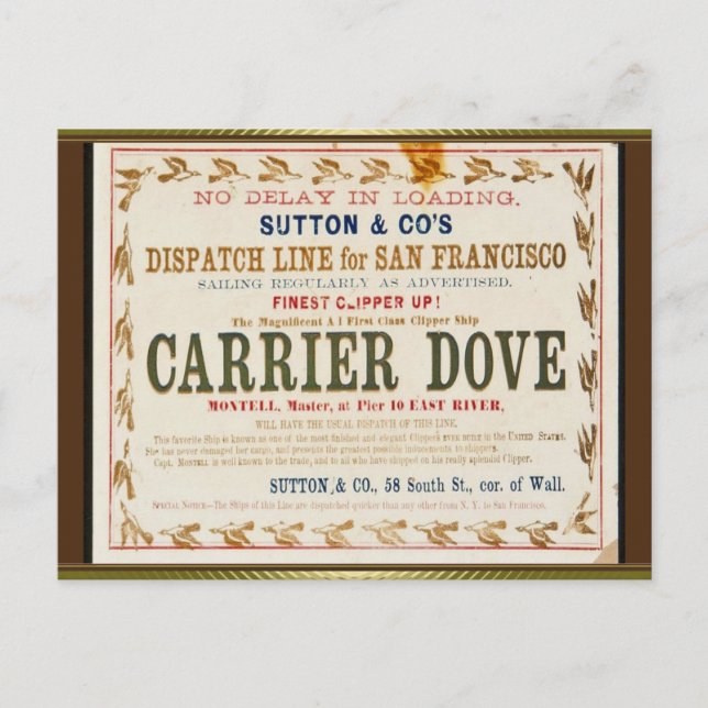 Carte Postale Voilier du Clipper de la colombe (Devant)