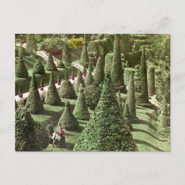 Carte Postale Voir dans les terrains de M. Hunnewell, Wellesley, (Devant)