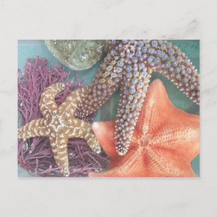 CARTE POSTALE VOIR LES ÉTOILES