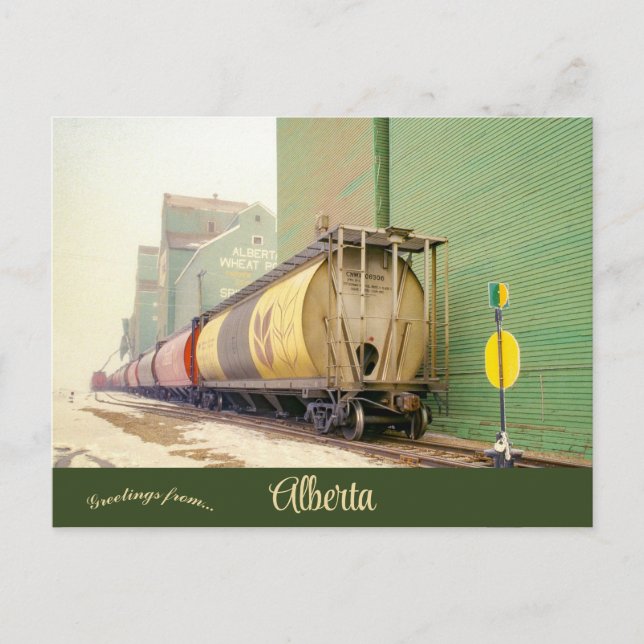Carte Postale Voitures à grains dans Spirit River Alberta Canada (Devant)