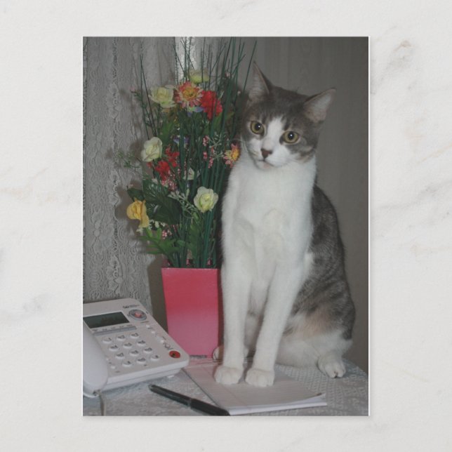 Carte Postale Voix étranges (Devant)